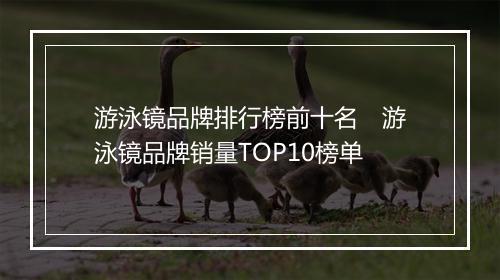 游泳镜品牌排行榜前十名　游泳镜品牌销量TOP10榜单