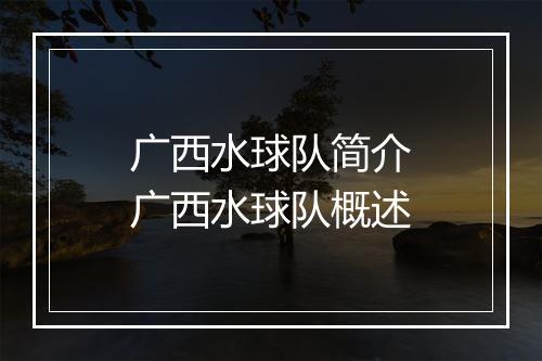 广西水球队简介　广西水球队概述